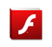 Flash